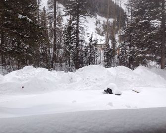 In The Heart Of TSV few minute walk to base area and chairlift, hottub, parking - Taos Ski Valley - Accommodatie extra