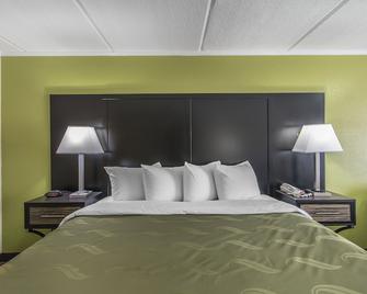 Quality Inn Hinesville - Fort Stewart Area - Hinesville - Bedroom