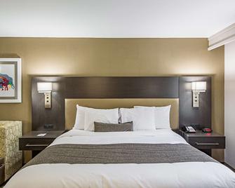 Best Western Plus Clemson Hotel & Conference Center - Clemson - Bedroom