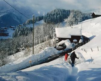 Fantastic chalet, summer and winter across the Dents du Midi, Portes du Soleil - Val-d'Illiez - Prestation de l’hébergement
