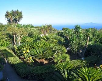 villa damecuta B&B - Anacapri