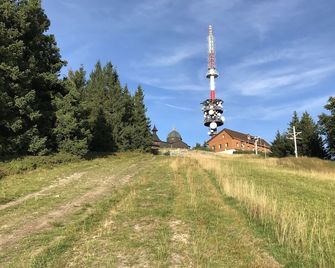 Hotel na Doline - Frenstat - Outdoor view