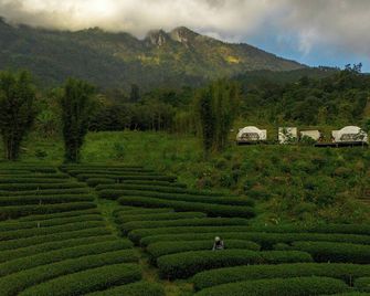 Doi Inthanon Tea Farmstay - Mae Wang - Vista del exterior