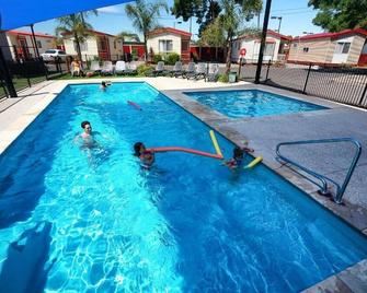Barwon River Holiday Park - Geelong - Pool