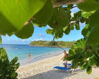 Private Terrace - Apartment 2 in Villa Coconut - Samaná - Playa