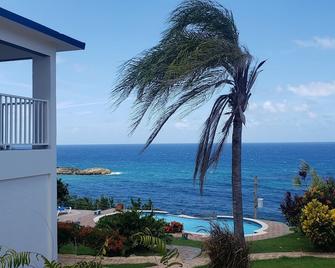 Oceanview property with 180 degree view of the Atlantic Ocean, with swiming pool - Manatí - Vista del exterior