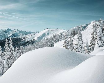 Spa Chalet - Garden Lodge - Zell am See