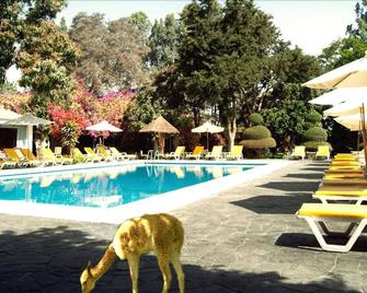 Hotel Majoro - Nazca - Havuz