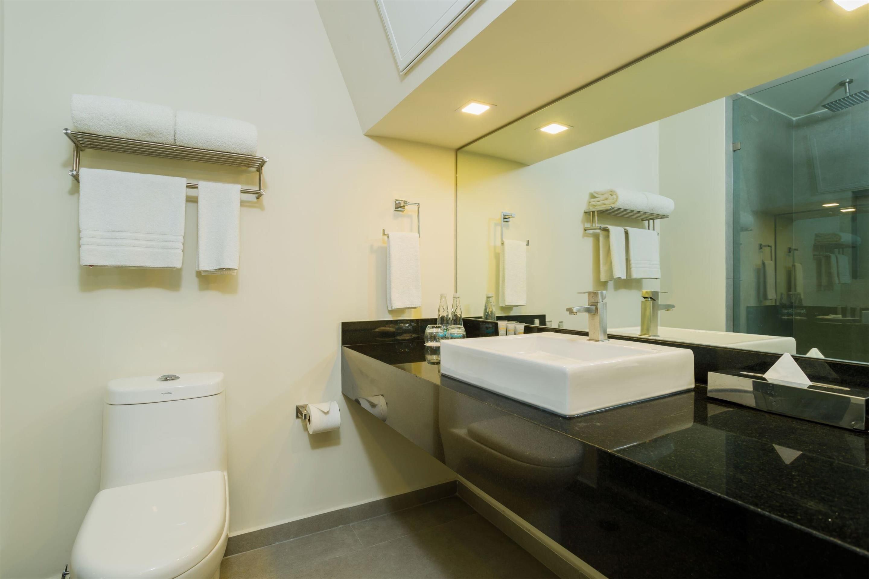 Real Inn Mexicali - Мексікалі - Ванна кімната