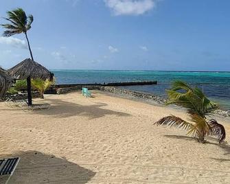 Sea Turtle Condo with Loaded Amenities - Christiansted - Beach