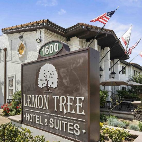 The Lemon Tree Hotel image 1