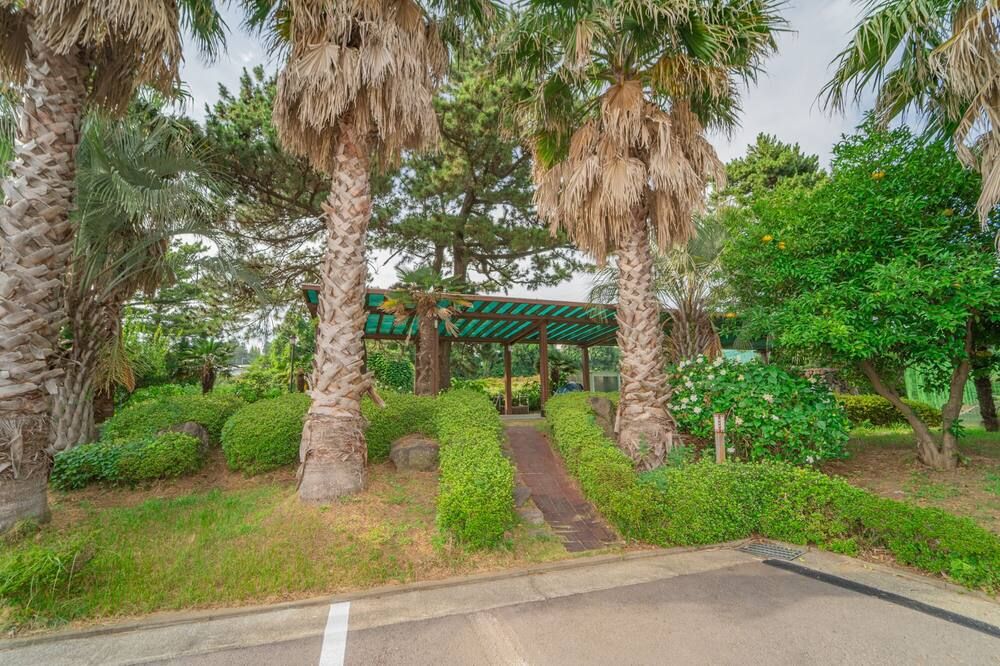 Seaore Resort - סאוגוויפו - נוף חיצוני