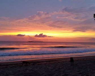 Jonny s cabins drake day - El Progreso - Playa