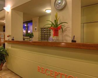 Solimar Aquamarine - Gerani - Recepción