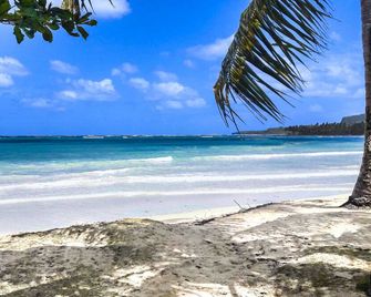 鵜鶘公寓酒店 - 拉斯加勒拉斯 - Samana/沙門 - 海灘
