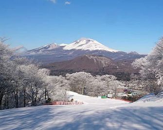 Ikoi Villa - Karuizawa - Widok na zewnątrz