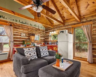 A perfect retreat from today's hectic pace and stressful lifestyle. Located just three miles from scenic Canyon Lake, The Cedar Cabin Retreat is a beautiful one bedroom Hill Country log cabin. - Canyon Lake - Living room