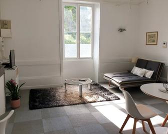 Joli T2 centre ville avec cour, climatisation et fibre - Angoulême - Living room