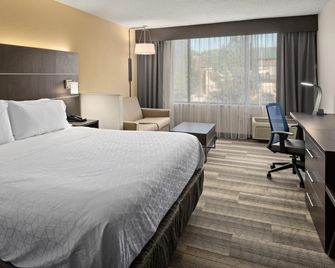 Holiday Inn Express Atlanta-Kennesaw By IHG - Kennesaw - Makuuhuone
