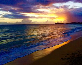 Amazing Waterfront Escape: Balcony, Renovated, Paradise At A Great Price! - Saint Thomas Island - Bãi biển