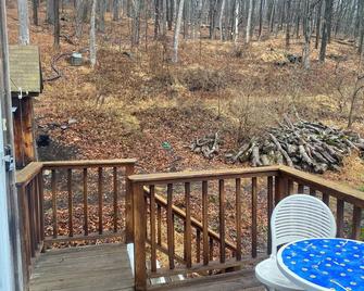 Cozy 1-bedroom apartment with AC, WiFi in charming Port Jervis - Port Jervis - Balcón