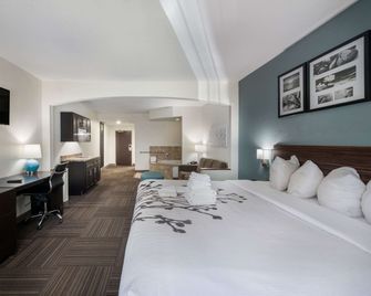 Sleep Inn and Suites Chesapeake - Portsmouth - Chesapeake - Habitación