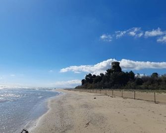 Il garusolo - Pineto - Beach