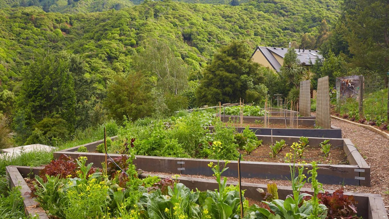 Hotel The Resurgence