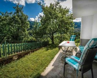 Apartment Blaz - Dolenja Trebuša - Patio