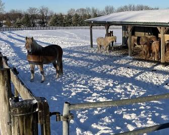 Farmhouse suite @ Nookside Stables - Manheim