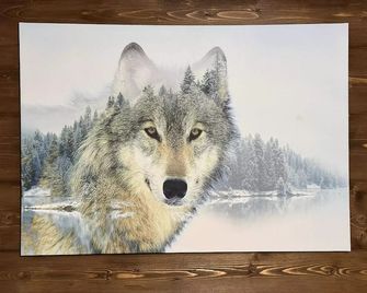 Chalet moderne avec jacuzzi, animaux admis, Morillon - FR-1-642-66 - Morillon