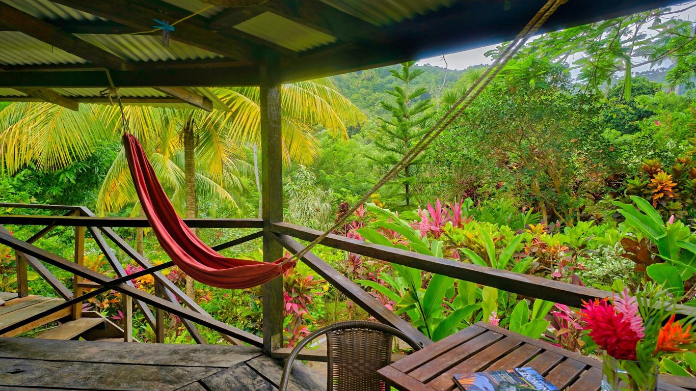 هيبيسكوس فالي إن