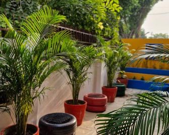 Tnc Lucknow by The Nomad Cave Hostel - Lucknow