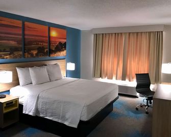 Days Inn by Wyndham Sandusky / Cedar Point - Sandusky - Schlafzimmer