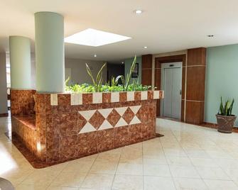 Hotel San Juan Centro - ויארמוסה - דלפק קבלה