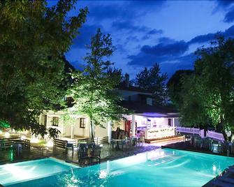 Gefyri Hotel - Konitsa - Pool
