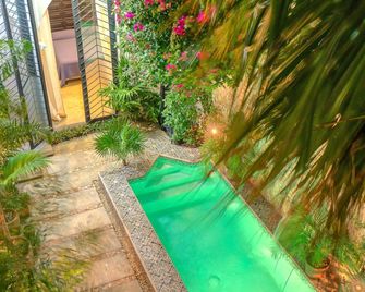 Casa Skylarkin, Moroccan wonder in Merida Centro - Mérida - Pool
