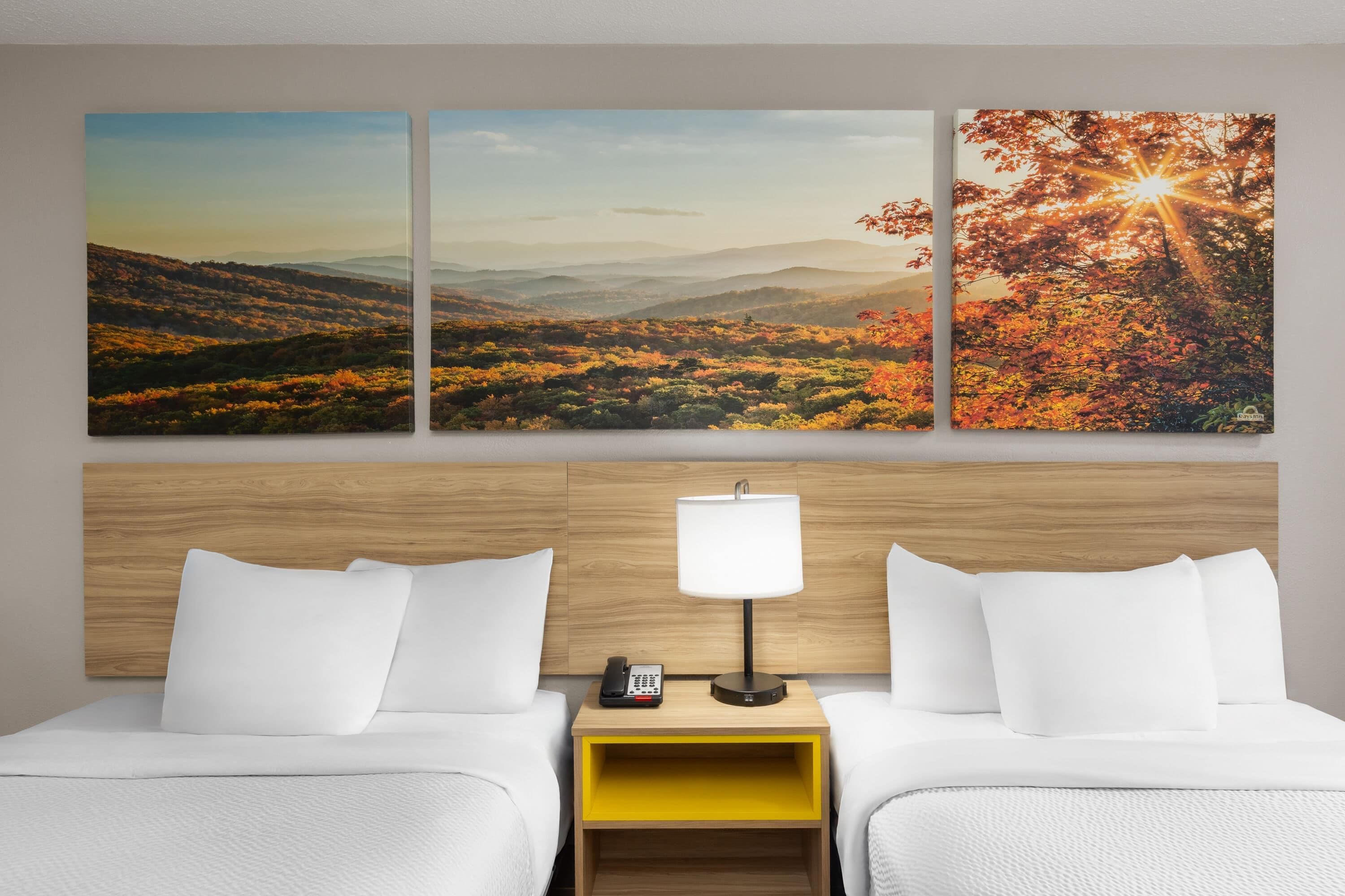 Days Inn by Wyndham Charleston WV - Charleston - Schlafzimmer