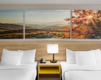 Days Inn by Wyndham Charleston WV - Charleston - Schlafzimmer
