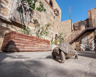 S.Nikolis' Historic Boutique Hotel - Rodas