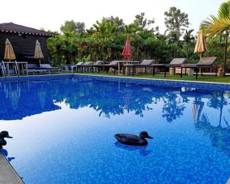 Go Green Spice & Eco Resort - Panaji - Pool