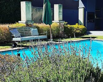 Treehouse On Maple - Johanesburgo - Piscina
