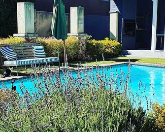 Treehouse On Maple - Johanesburgo - Piscina