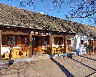 Blum Pince - Borozó Vendégház - Villány - Patio