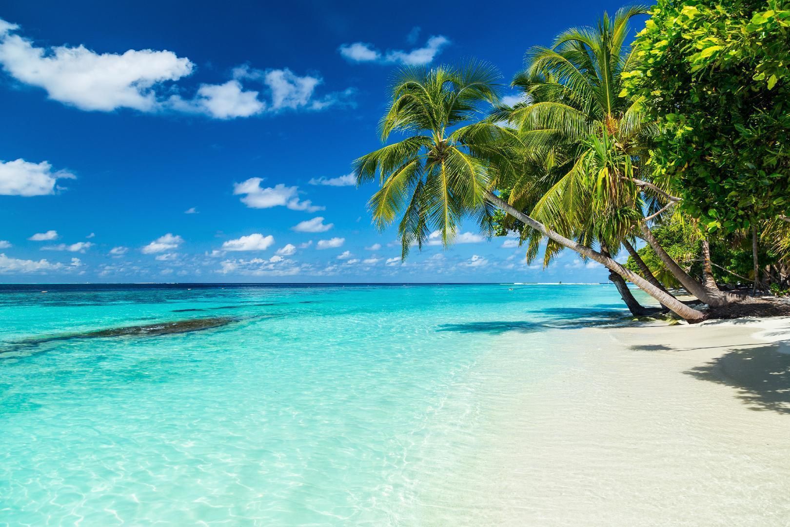 Equa Reef Maldives Hotel - Addu City - Strand