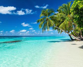 Equa Reef Maldives Hotel - Addu City - Beach