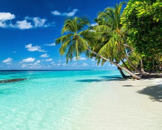 Equa Reef Maldives Hotel - Addu City - Strand