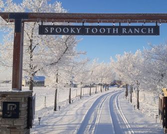 Llama-Stay at Spooky Tooth Ranch - Mtn Views! - Loveland
