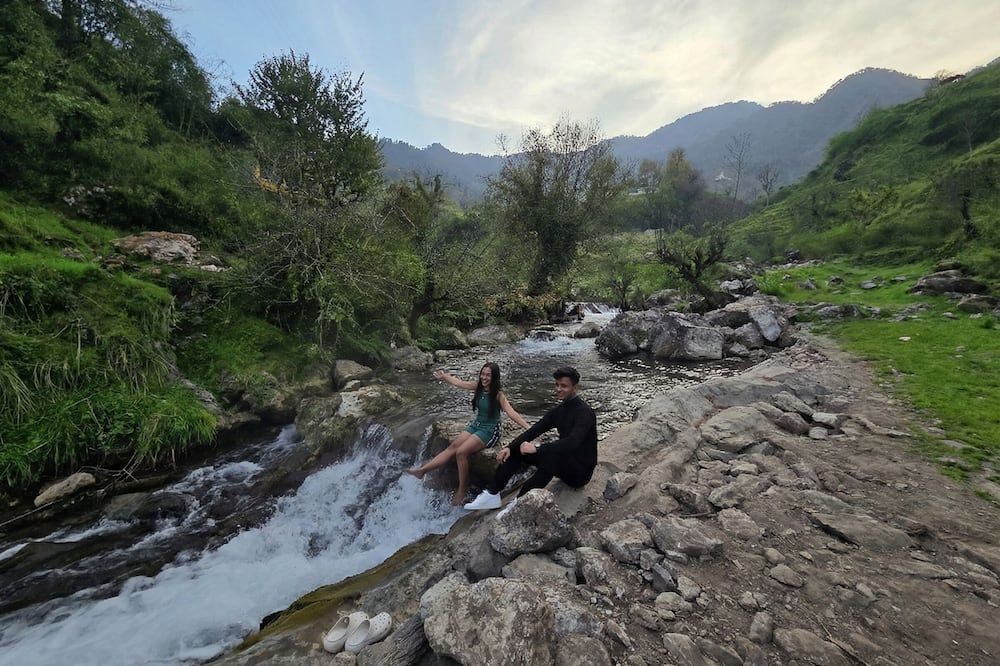 Palm Aryan Pause by the Stream - מוסורי