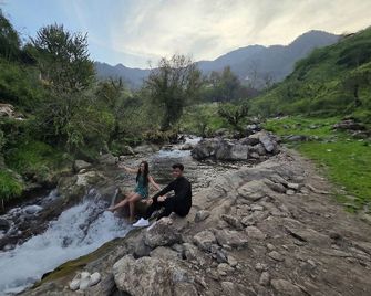 Palm Aryan Pause by the Stream - מוסורי